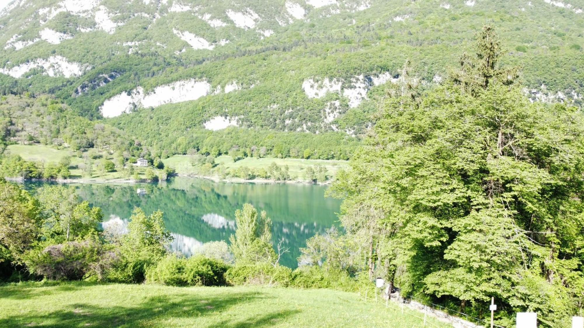 Hotel Stella Alpina