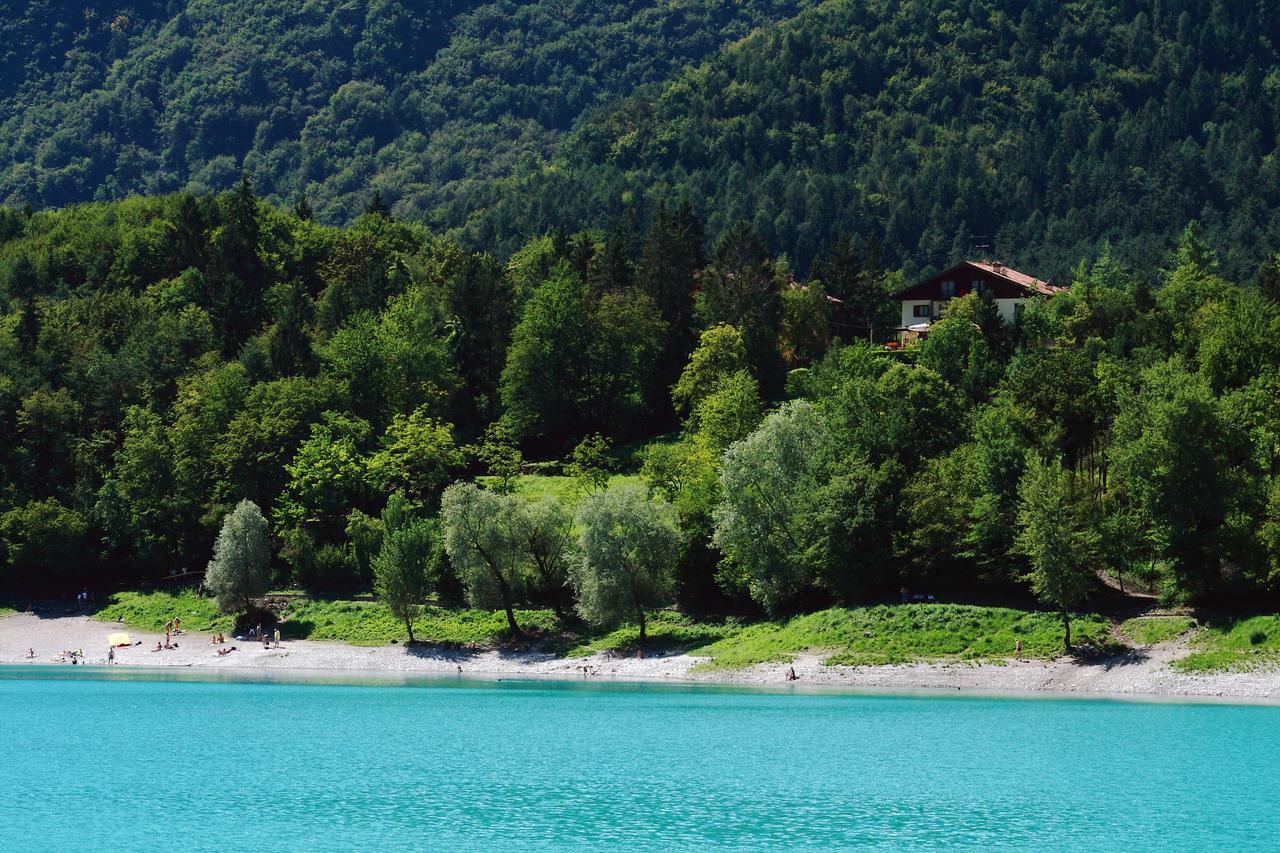 Stella Alpina Hotel